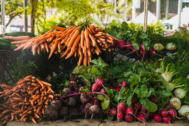 Orbisk, la empresa líder en tecnología para reducir el desperdicio de alimentos, llega oficialmente al mercado de EE. UU.