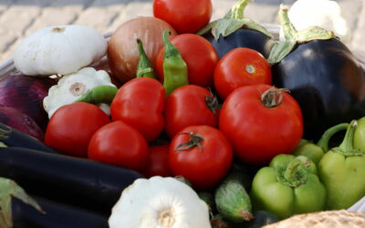 Suivi de la gestion des déchets en cuisine : mesurer, comprendre, réduire le gaspillage alimentaire