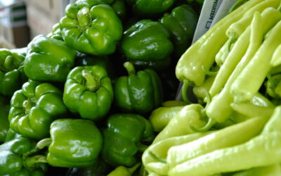 The Complete Food Waste Management System Playbook: How to Reduce Food Waste and Drive Profit with Orbisk