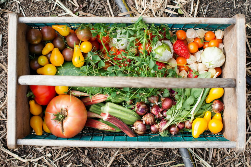 Food Waste Solutions Comparison Guide